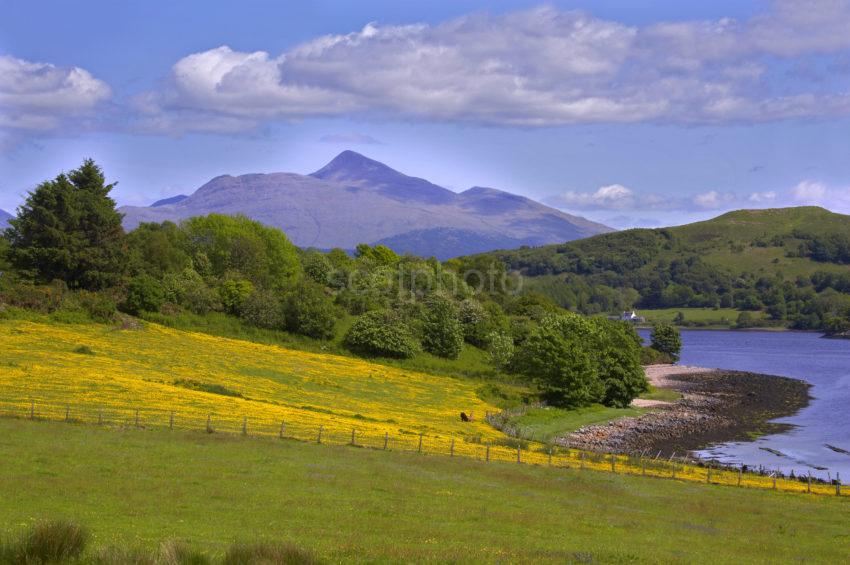 Spring View Of Ben Cruachan Loch Etive