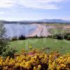 Tralee Bay In Spring From Benderloch