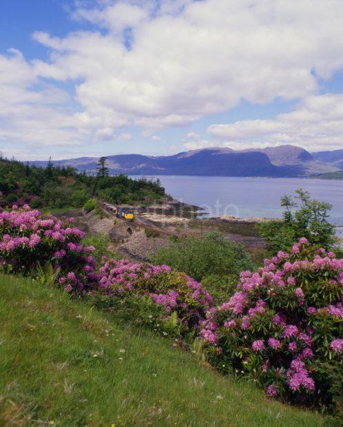 Untitled 36 Class 37 Loch Carron With Applecross Hills