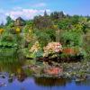 Glen Whan Gardens Nr Dunragit Luce Bay Wigtownshire