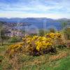 Gourock