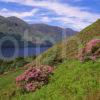 Summer View Overlooking Loch Lochy The Great Glen Highlands