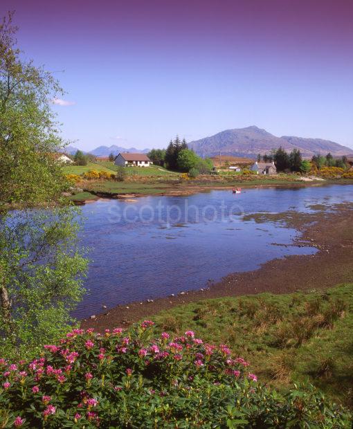 Spring View From Shiel Bridge In Acharacle At The Westward End Of Loch Shiel Ardnamurchan