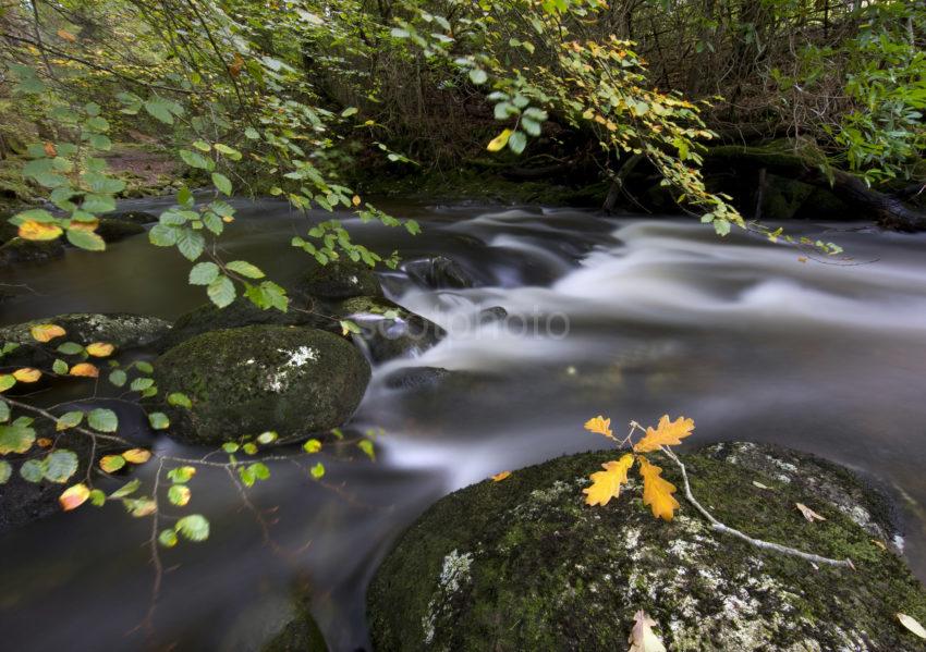 0I5D1552 Long Exposure Flowing River In Steep Glen