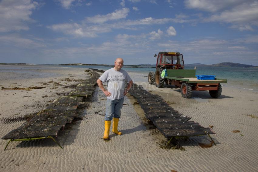 Oyster Beds North Coast Of Barra