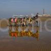 Donkey Reflections Blackpool