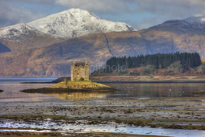 0I5D9423 Castle Stalker