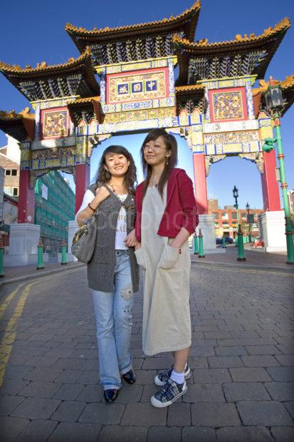 Chinese Arch With Iris And Maki