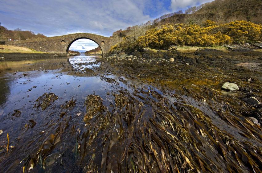 12mb 0I5D8105Wide Shot Clachan Bridge From Seaweed Clachan Seil Argyll