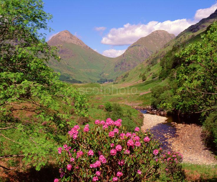 Springtime In Glen Etive Argyll