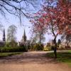 Springtime In Forres Towards Town From Park Forres Morayshire