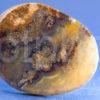 Polished Agate Pebble Scotland