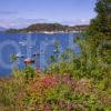 Portrait Oban Bay 1