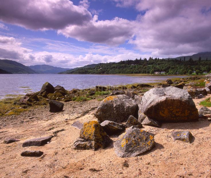 Summer View From The Shore Of Loch Sunart From Strontian West Highlands