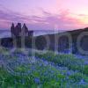 I5D0092 Dunskey Castle At Sunset Nr Portpatrick Galloway