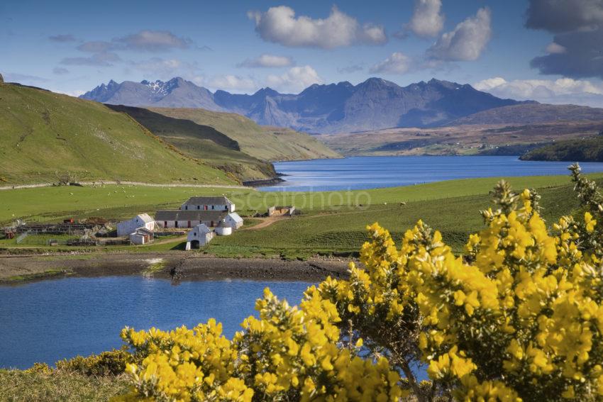 WY3Q9766 Gesto Bay Loch Harport And The Cuillin Hills SKYE