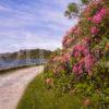 Spring View Towards Tioram Castle On Loch Moidart From Dorlin Pier Moidart West Highlands