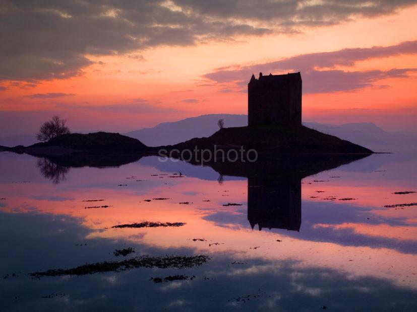 WY3Q4022 Castle Stalker Afterglow