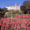 Dunrobin Castle From Beautiful Gardens