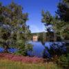 Loch An Eilein Cairngorms