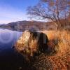 Lake Of Menteith