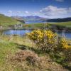 WY3Q9753 Spring Gesto Bay With Cuillins Skye