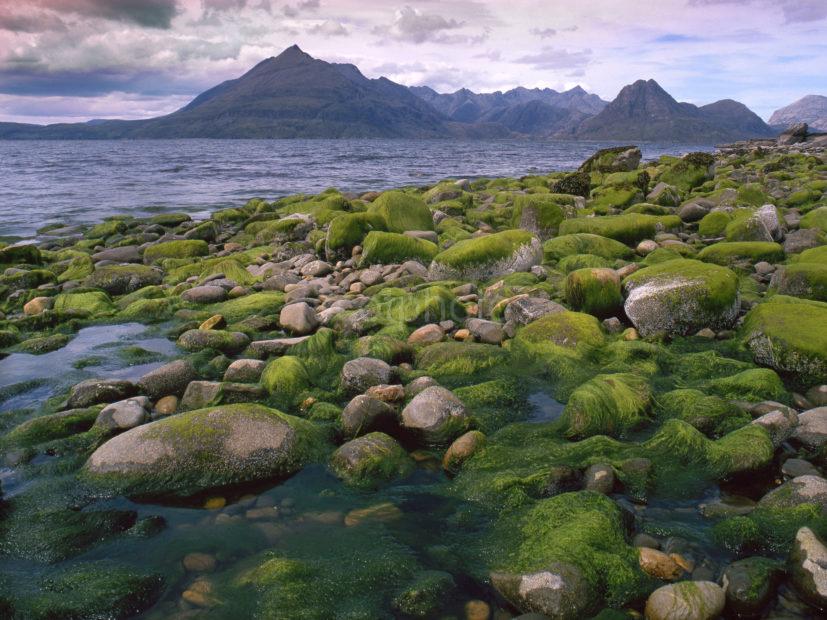 Elgol Green Boulders