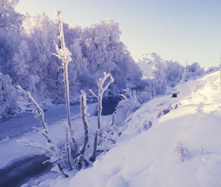 Winter Glen Morriston