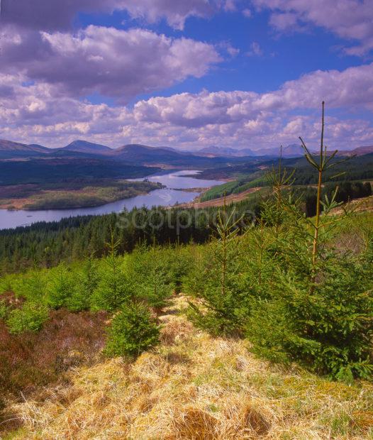 Summer View Overlooking Loch Garry Scottish Highlands