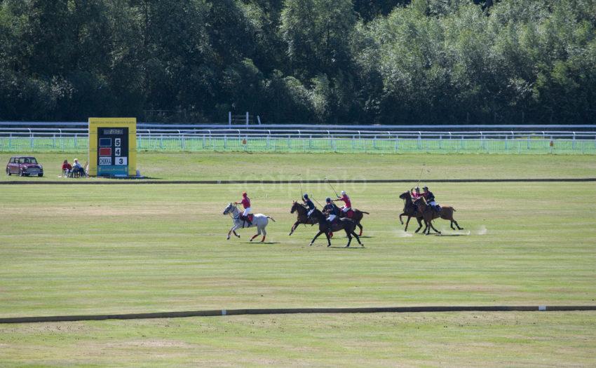 Chester Racecourse Playing Polo