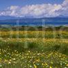 Towards The Isle Of Skye From Morar With Machair