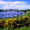 Springtime On Loch Etive Towards Connel Bridge North Connel Argyll