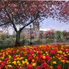 Springtime View Of Paisley Abbey Paisley Renfrewshire Glasgow