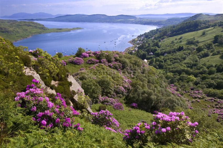 WY3Q0068 To Arran And Tighnabruich Kyles Of Bute