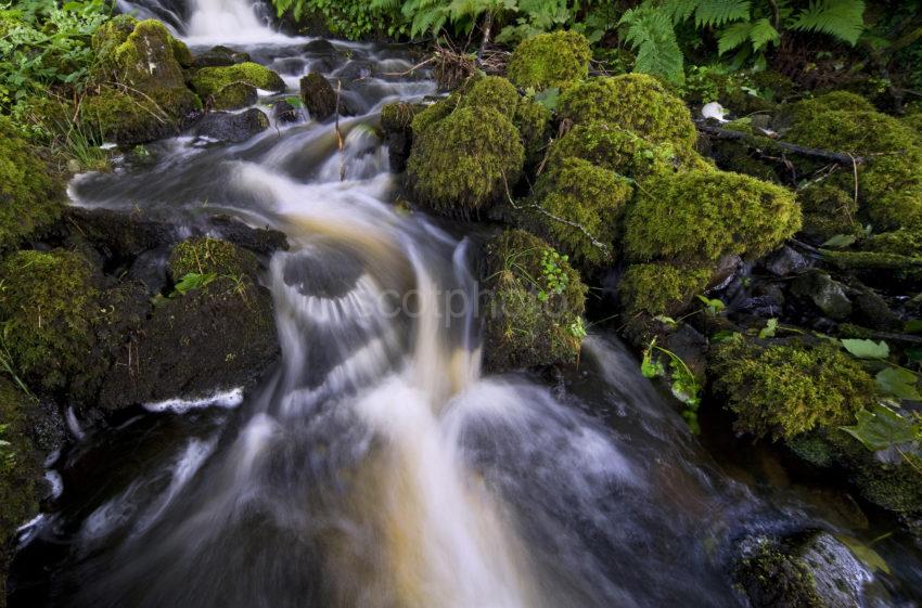 Flowing Stream