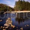 Fishing On The River Orchy In Glen Orchy Argyll