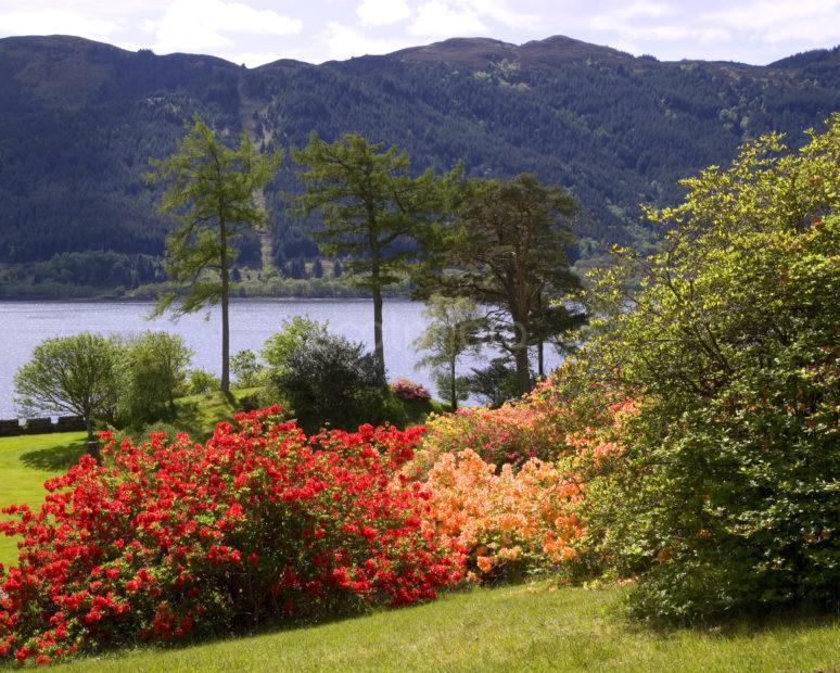 Loch Duich Spring 4