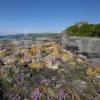 DSC 4792 Culzean Castle From Shore Ayrshire