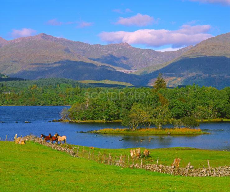 Late Summer View Across Loch Awe From East Argyll