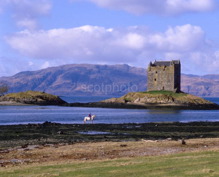 Pony Trekking On The Shore Near Castle Stalker Appin