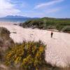 Islands Of Eigg And Rhum From Camusdarroch Beach Nr Morar NW Highlands