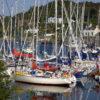 Portrait Of Yachts In Tarbert