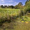 Autumn View Ardmaddy Castle From Pond