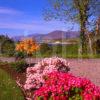 Dramatic Colourful Scene Towards The Corran Sound And Ardgour From South Corran Lochaber West Highlands