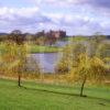 Springtime View Across Linlithgow Loch Towards The Palace West Lothian