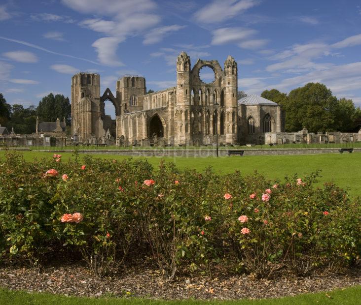 I5D9830 Ruins Of Elgin Cathedral City Of Elgin Moray