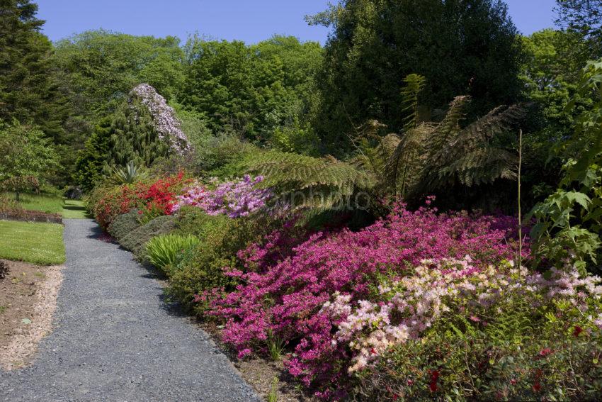 Beautiful Gardens At Achamore On Gigha