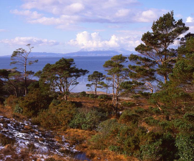 View Towards Rhum And Eigg From Loch Ailort Moidart West Highlands