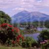Spring View Towards Kilchurn Castle And Ben Lui Loch Awe Argyll