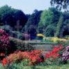 Castle Kennedy Gardens Dumfries And Galloway